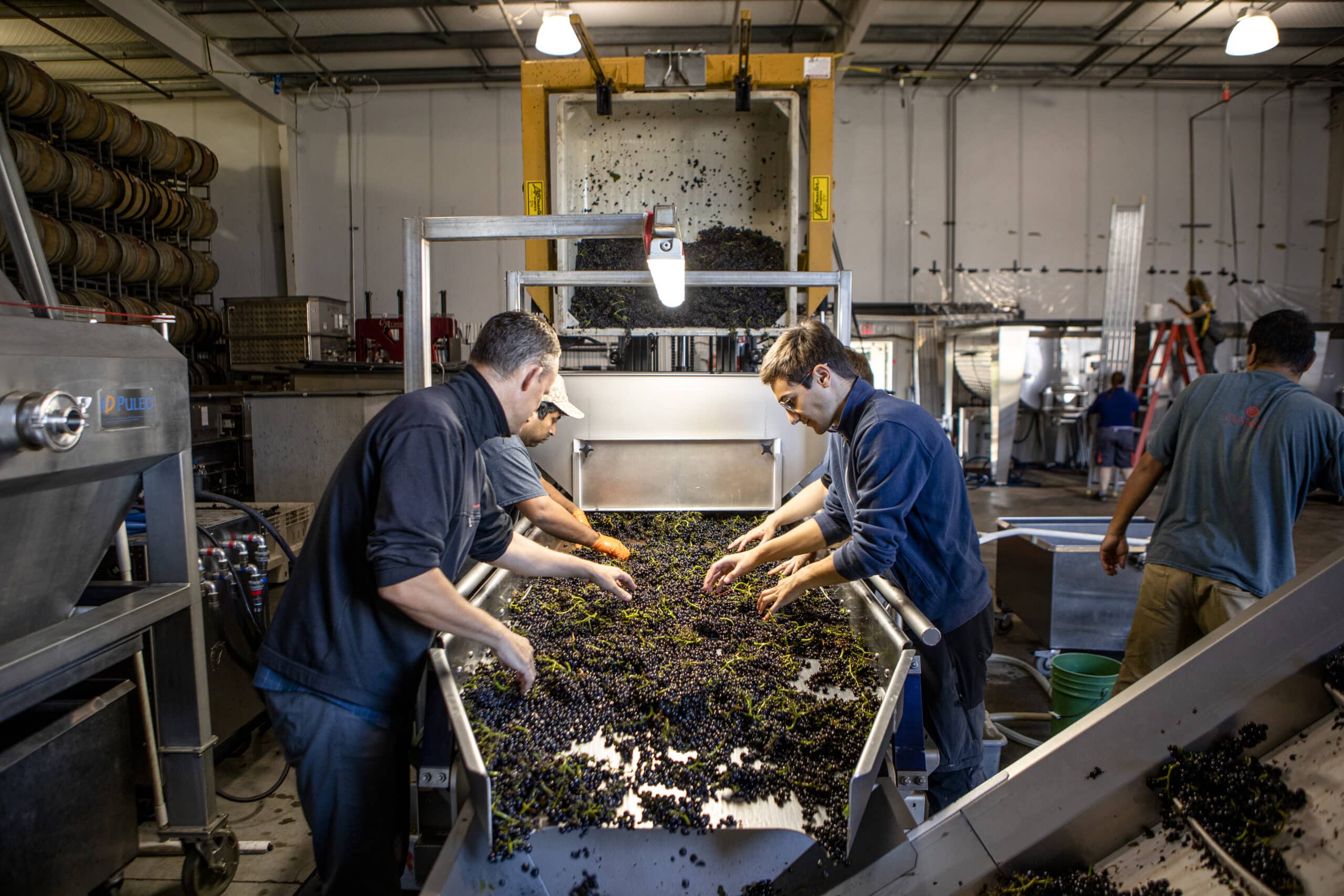 Three Sticks Wines Chardonnay and Pinot noir